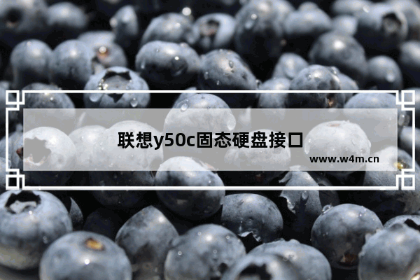 联想y50c固态硬盘接口