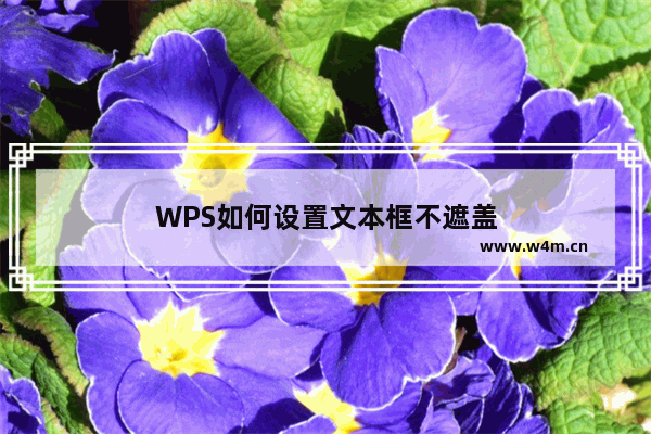 WPS如何设置文本框不遮盖