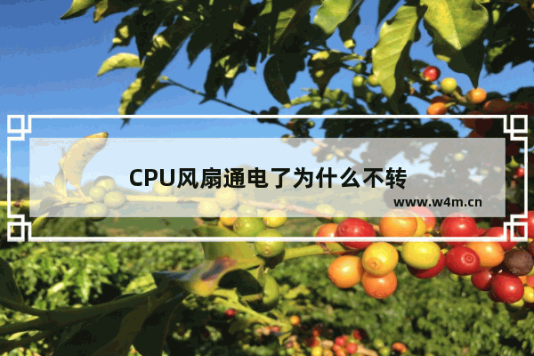 CPU风扇通电了为什么不转