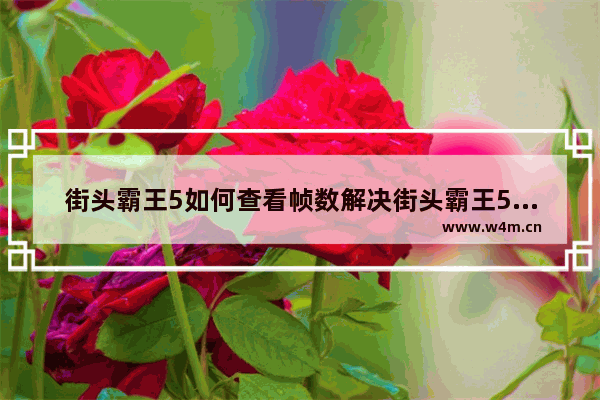 街头霸王5如何查看帧数解决街头霸王5帧数过低的技巧