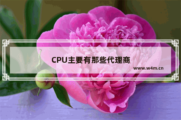 CPU主要有那些代理商