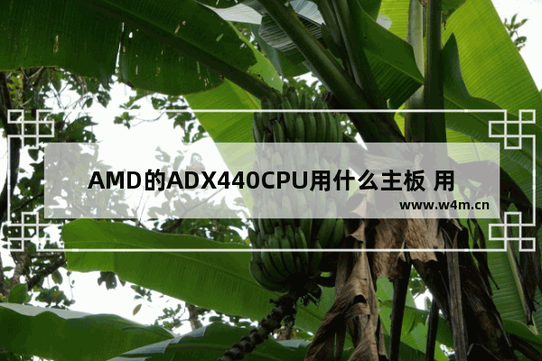 AMD的ADX440CPU用什么主板 用N68可以不