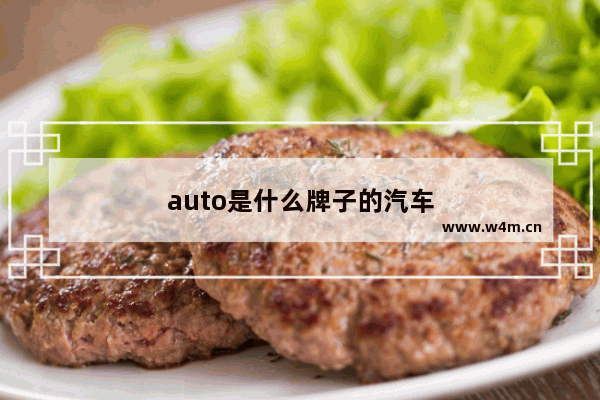 auto是什么牌子的汽车