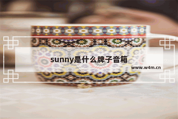 sunny是什么牌子音箱