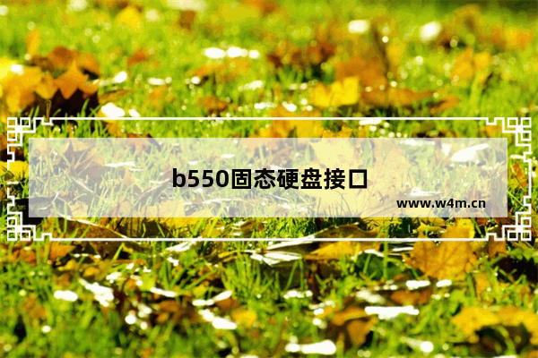 b550固态硬盘接口