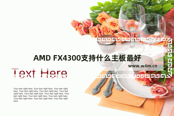 AMD FX4300支持什么主板最好