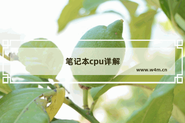 笔记本cpu详解