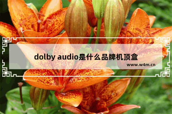 dolby audio是什么品牌机顶盒