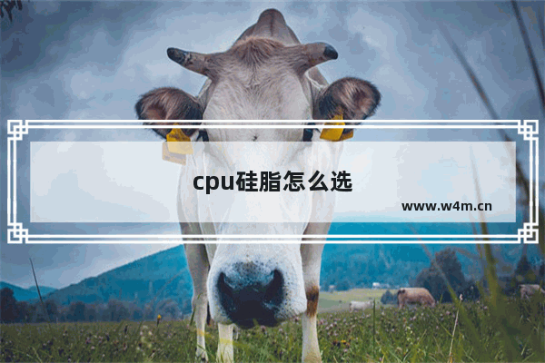 cpu硅脂怎么选