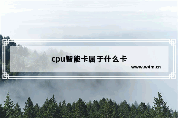 cpu智能卡属于什么卡