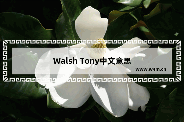 Walsh Tony中文意思