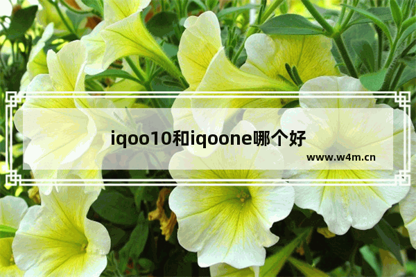 iqoo10和iqoone哪个好