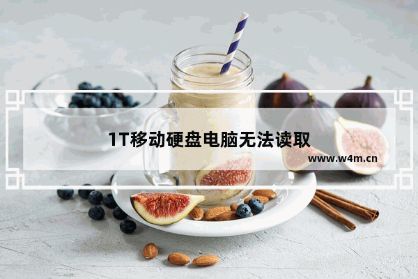 1T移动硬盘电脑无法读取