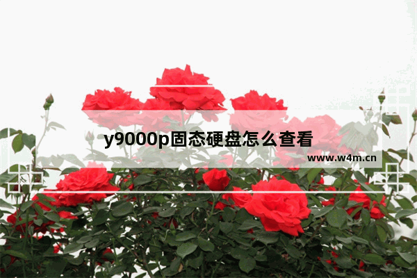 y9000p固态硬盘怎么查看