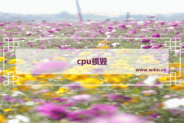 cpu损毁