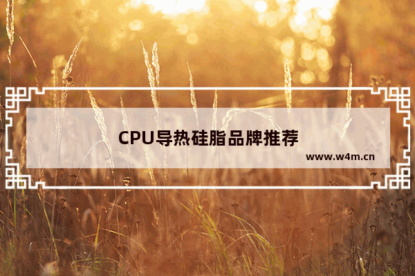 CPU导热硅脂品牌推荐