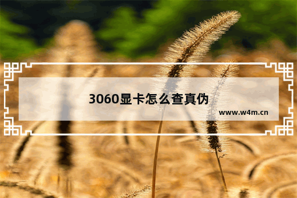 3060显卡怎么查真伪