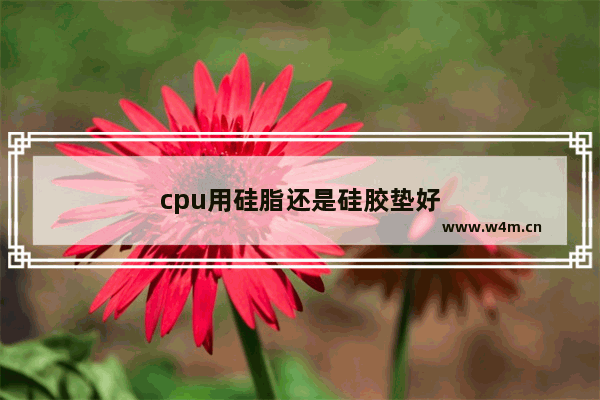 cpu用硅脂还是硅胶垫好