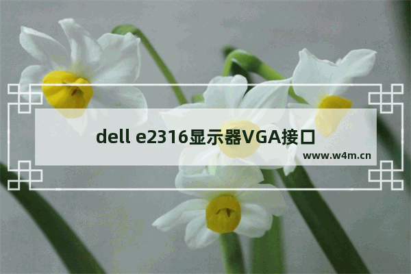 dell e2316显示器VGA接口