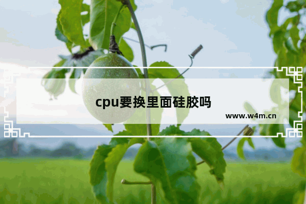 cpu要换里面硅胶吗