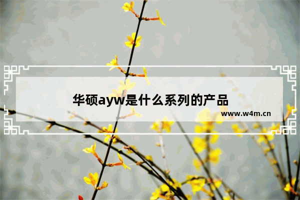 华硕ayw是什么系列的产品