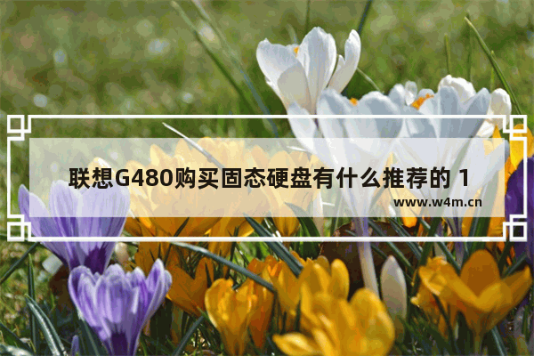 联想G480购买固态硬盘有什么推荐的 120-500g