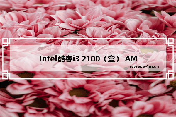 Intel酷睿i3 2100（盒） AMD速龙II X4 631（盒） 两者谁更好