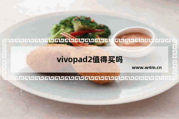 vivopad2值得买吗