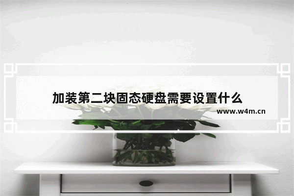 加装第二块固态硬盘需要设置什么