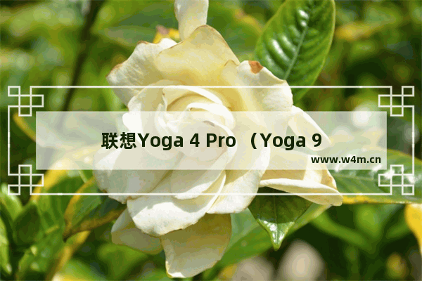 联想Yoga 4 Pro （Yoga 900） 性价比怎样