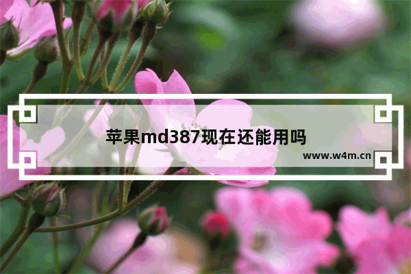 苹果md387现在还能用吗