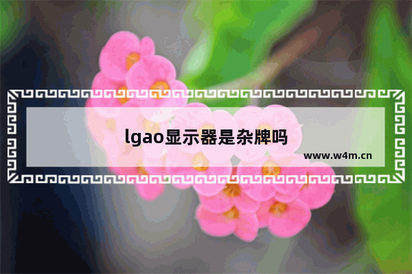 lgao显示器是杂牌吗