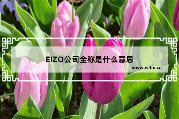 EIZO公司全称是什么意思