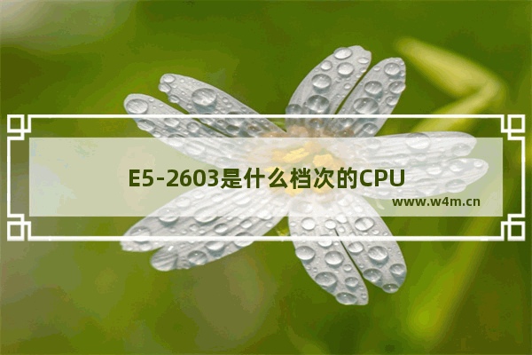 E5-2603是什么档次的CPU