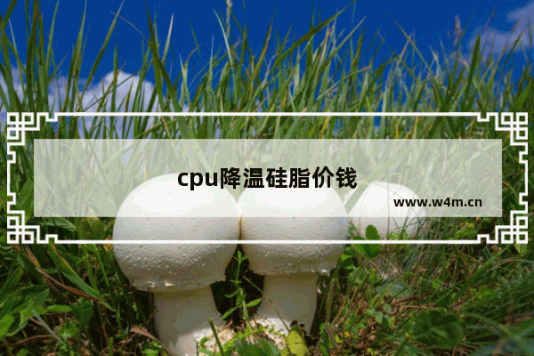 cpu降温硅脂价钱