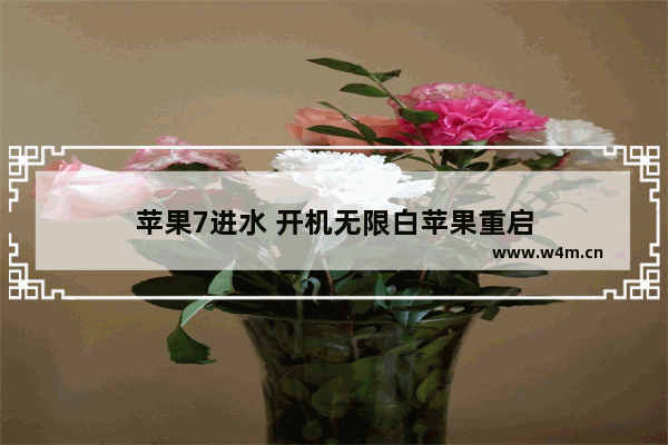 苹果7进水 开机无限白苹果重启