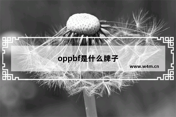 oppbf是什么牌子