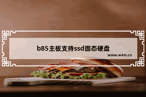 b85主板支持ssd固态硬盘