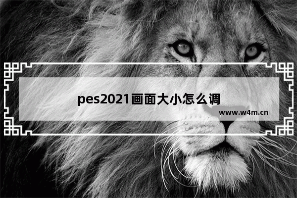 pes2021画面大小怎么调