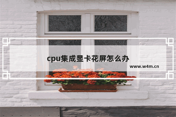 cpu集成显卡花屏怎么办