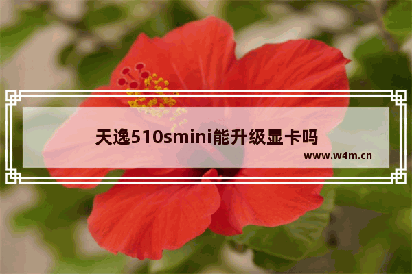 天逸510smini能升级显卡吗