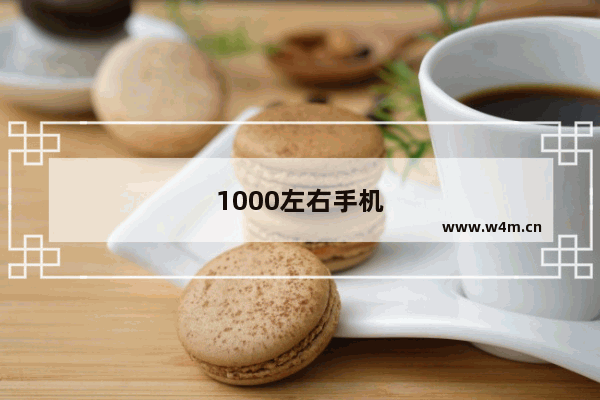 1000左右手机