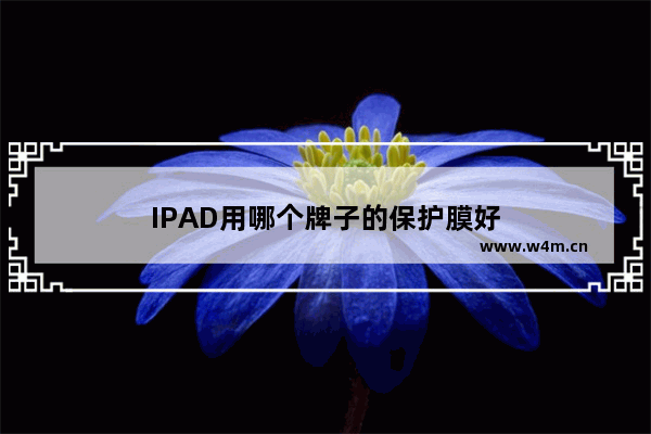 IPAD用哪个牌子的保护膜好