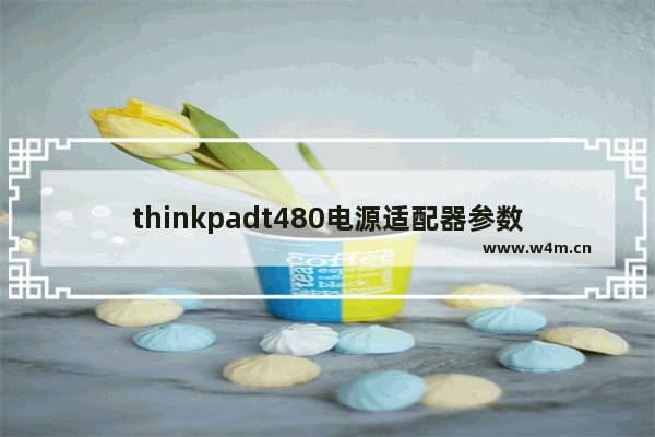 thinkpadt480电源适配器参数