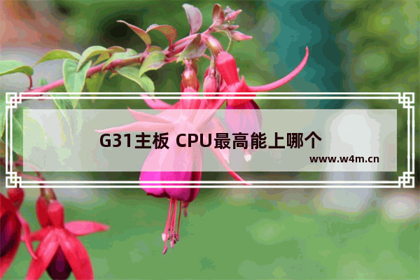 G31主板 CPU最高能上哪个