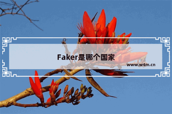 Faker是哪个国家