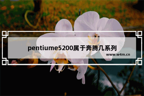 pentiume5200属于奔腾几系列