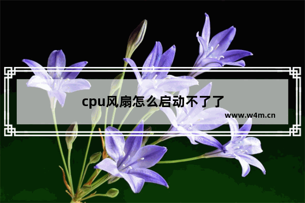 cpu风扇怎么启动不了了