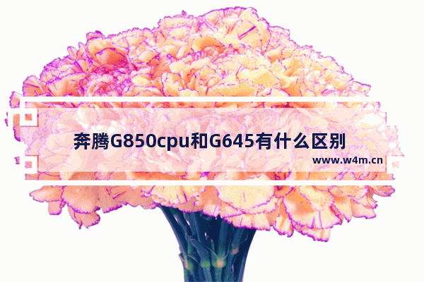 奔腾G850cpu和G645有什么区别 我看参数都差不多