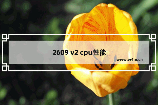 2609 v2 cpu性能